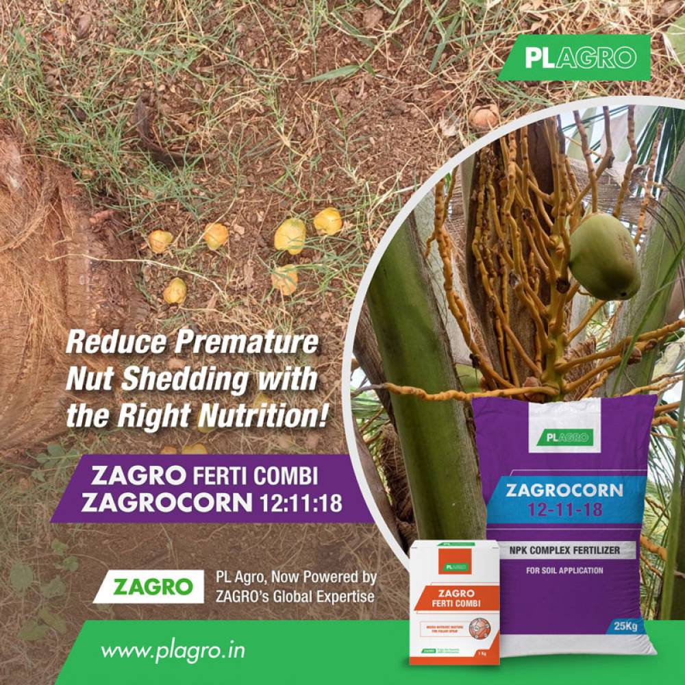 Are Your Coconut Nuts Falling Prematurely?